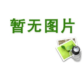 水泥電線桿。它們?nèi)缤艺\的衛(wèi)士，日復(fù)一日，年復(fù)一年，為城市的電力傳輸保駕護(hù)航